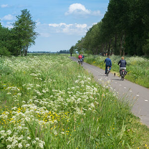 friesland-vierkant-05