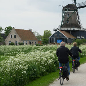 friesland-vierkant-07