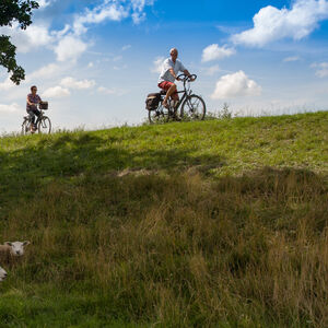 friesland-vierkant-08