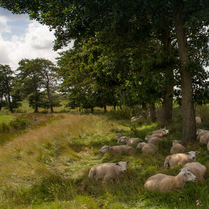 friesland-vierkant-09